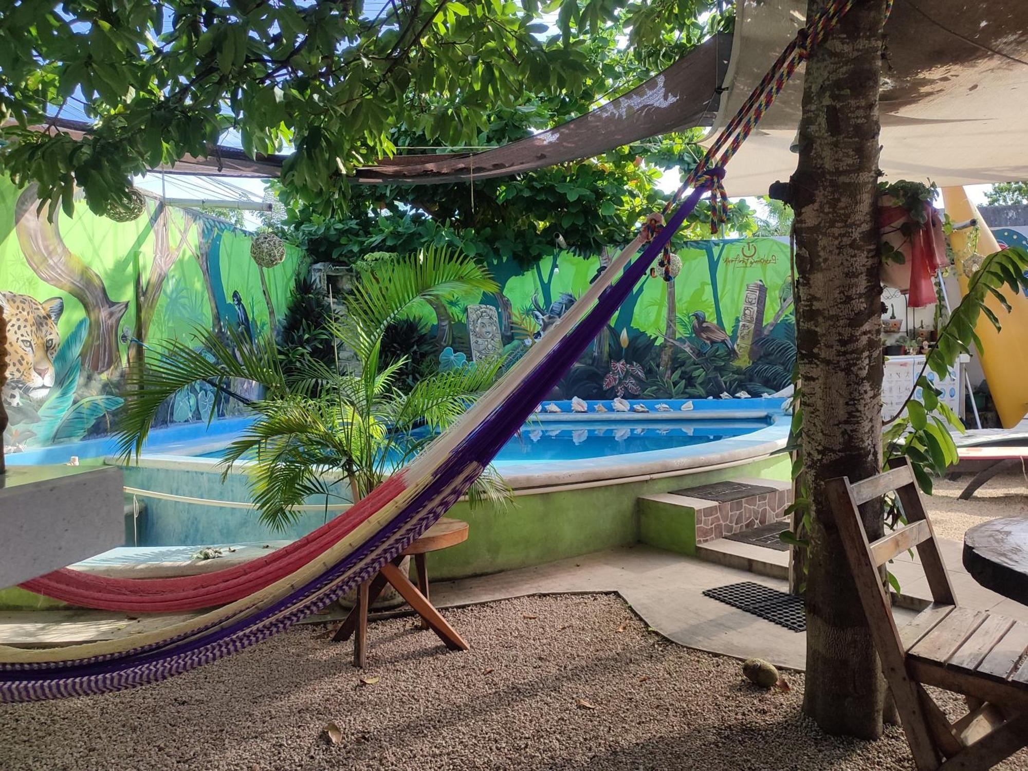 Zayali Bacalar - Guest House المظهر الخارجي الصورة